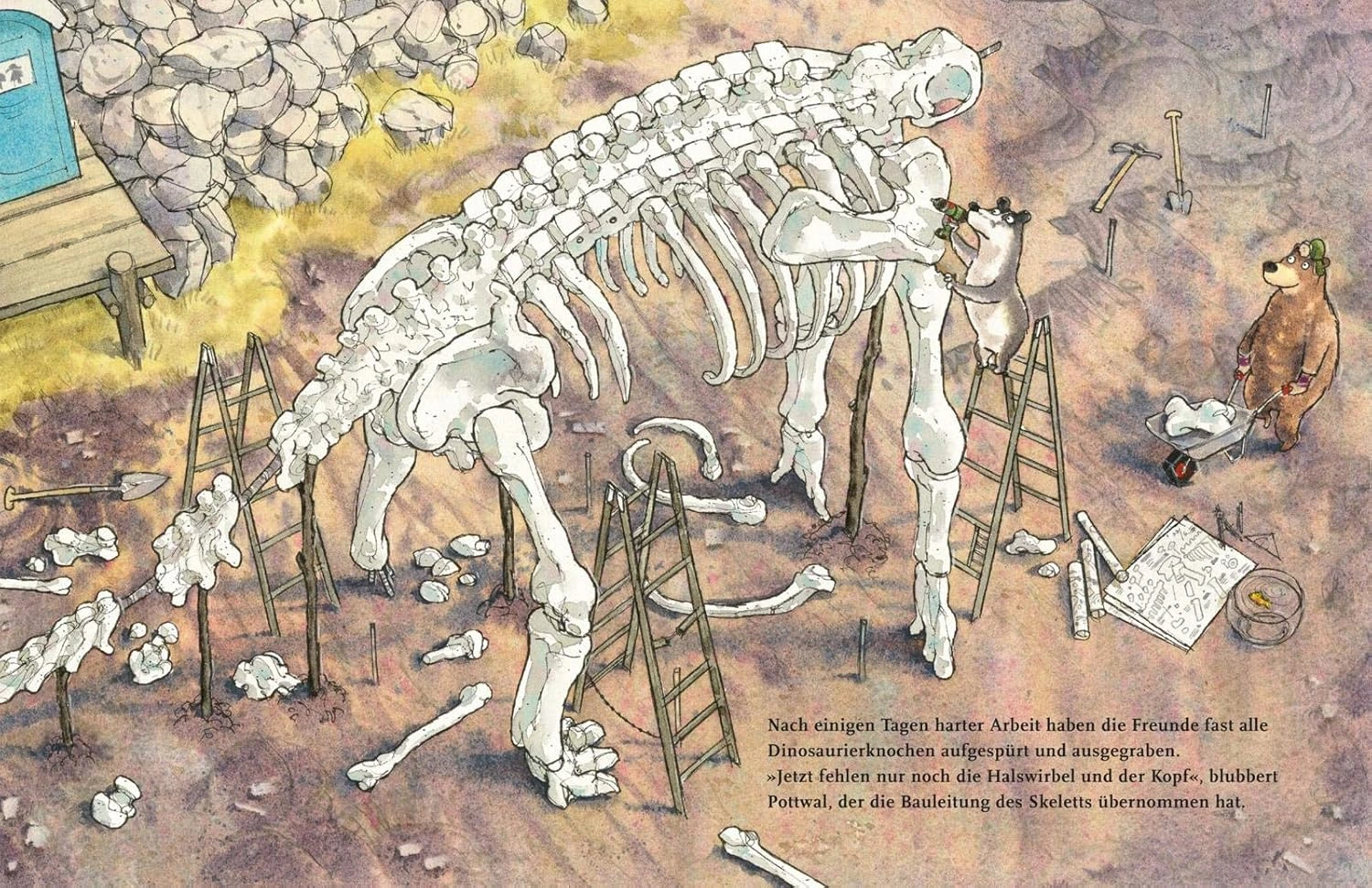 Dr. Brumm und der Megasaurus (Buch)